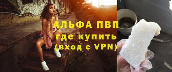 ECSTASY Гусь-Хрустальный