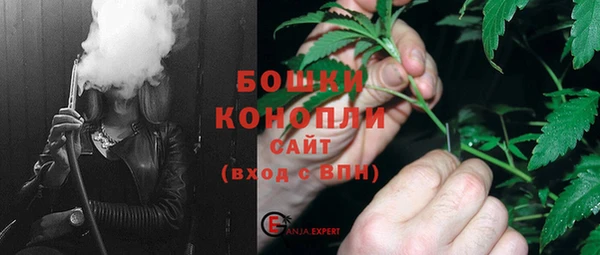 ECSTASY Гусь-Хрустальный