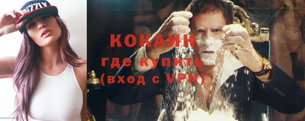 шишки Гусев