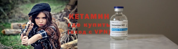 шишки Гусев