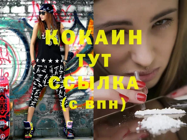 шишки Гусев