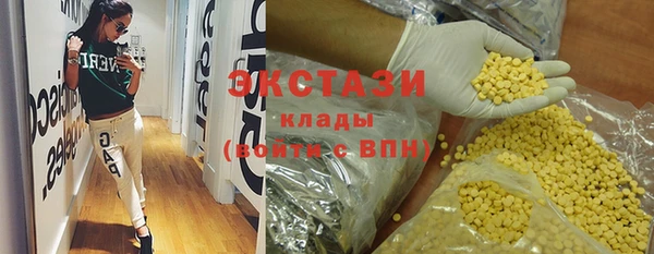 ECSTASY Гусь-Хрустальный