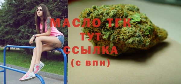 ECSTASY Гусь-Хрустальный