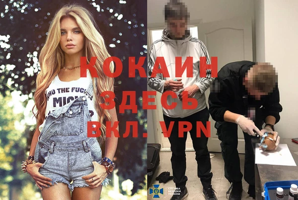 шишки Гусев