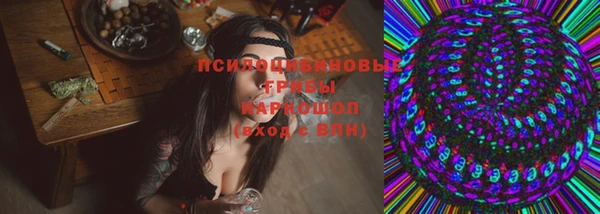 apvp Горнозаводск