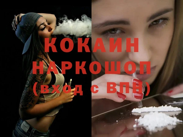 ECSTASY Гусь-Хрустальный