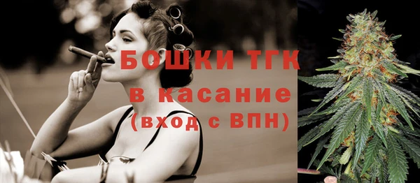 шишки Гусев