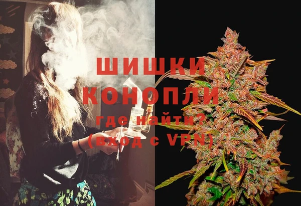 apvp Горнозаводск