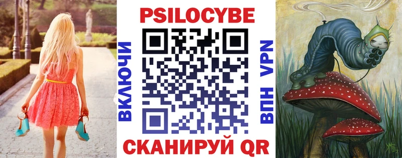 Псилоцибиновые грибы Psilocybe  продажа наркотиков  Змеиногорск 